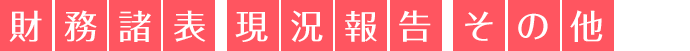 財務諸表 現状報告 その他